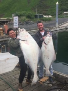 Halibut Fishing - Kodiak Sportsman's Lodge