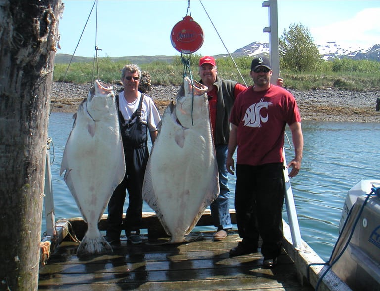 When is the fishing season for halibut in Alaska?