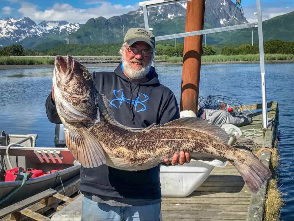 Lingcod Fishing