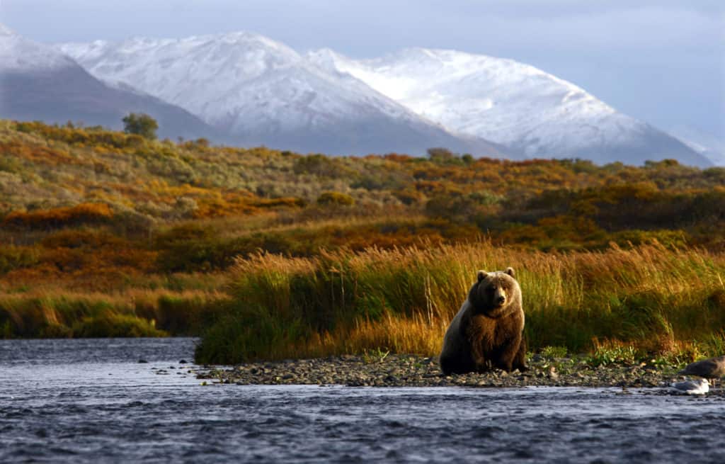 Things to do on an Alaska Fishing Trip