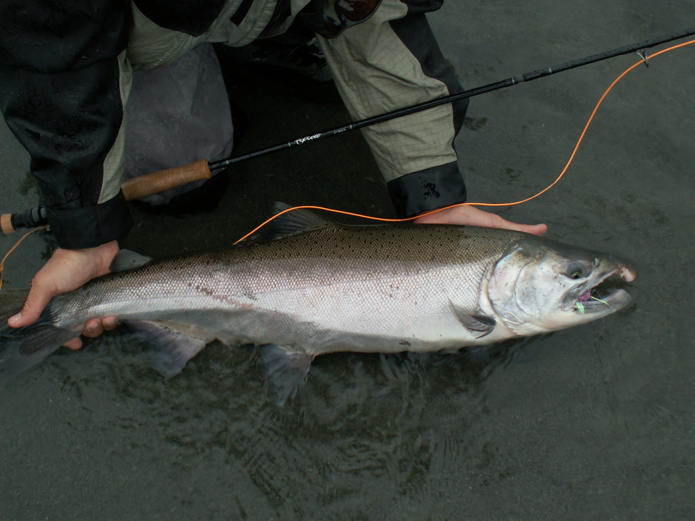 Fisherman shows off king salmon catch on all-inclusive Kodiak Island fishing trip