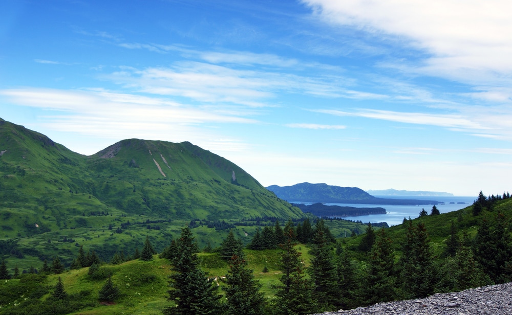 Kodiak Alaska Remote Fishing