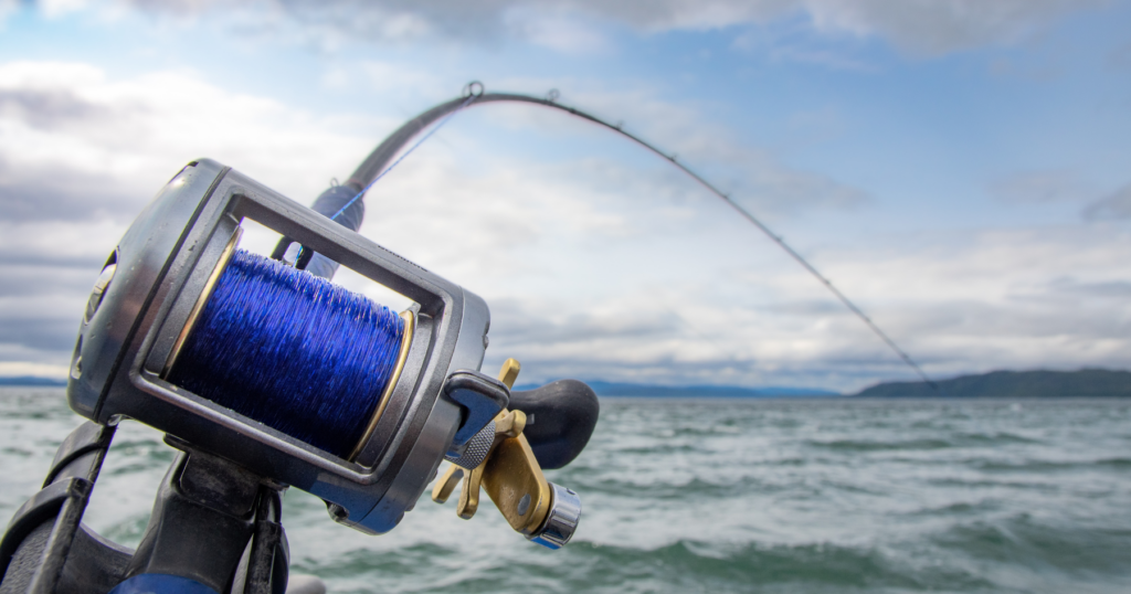 halibut vs salmon fishing alaska: which trip is right for you?